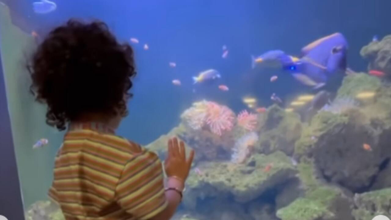 Malti is also seen interacting sweetly with performers dressed in vibrant costumes, looking curious and delighted.