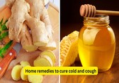 Best home remedies for cold and cough: Cure it quickly with the health benefits of honey and ginger