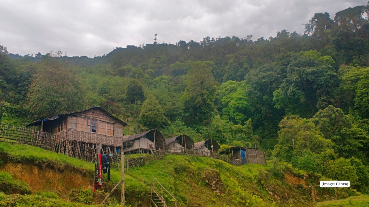 10. Eaglenest Wildlife Sanctuary, Arunachal Pradesh Eaglenest’s temperate and subalpine forests offer suitable habitat for musk deer. Though sightings are rare, it's a promising location for researchers and trekkers. (Representative image: Canva)