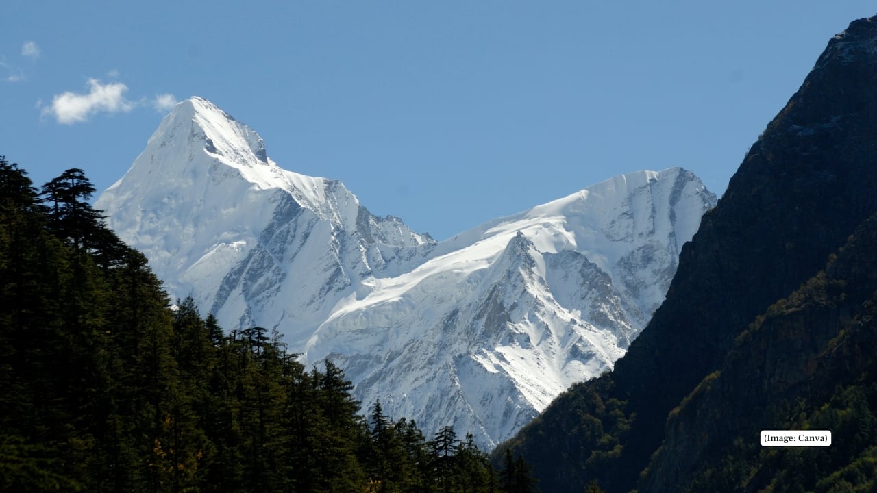 5. Gangotri National Park, Uttarakhand Musk deer roam the upper alpine zones of this high-altitude park. The quiet, undisturbed forests near Gaumukh are ideal for spotting them at dawn or dusk. (Representative image: Canva)