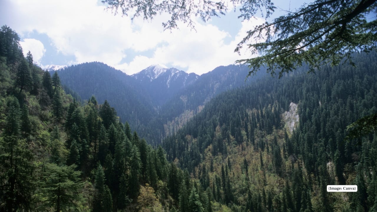 8. Great Himalayan National Park, Himachal Pradesh This well-protected Himalayan ecosystem supports musk deer in its upper reaches. Trekkers may spot hoofprints or signs near secluded alpine ridges. (Representative image: Canva)