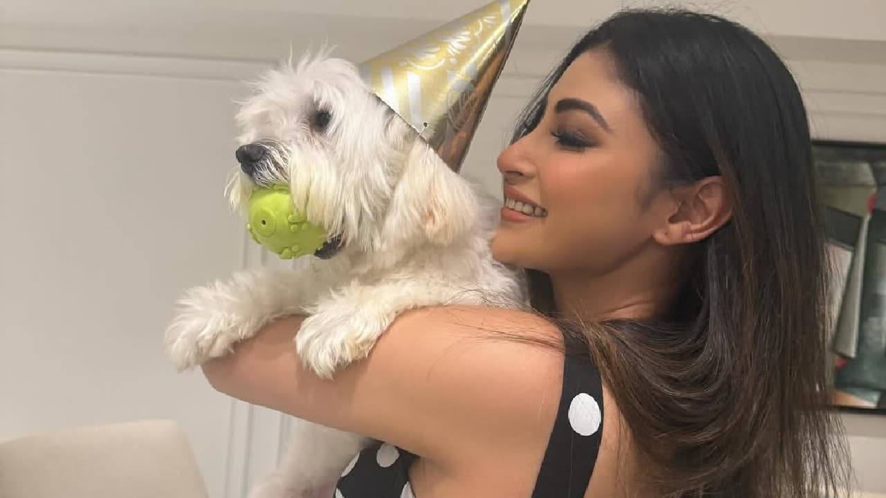 Mouni Roy celebrates her pet Theo’s birthday Mouni Roy celebrates her pet Theo’s birthday