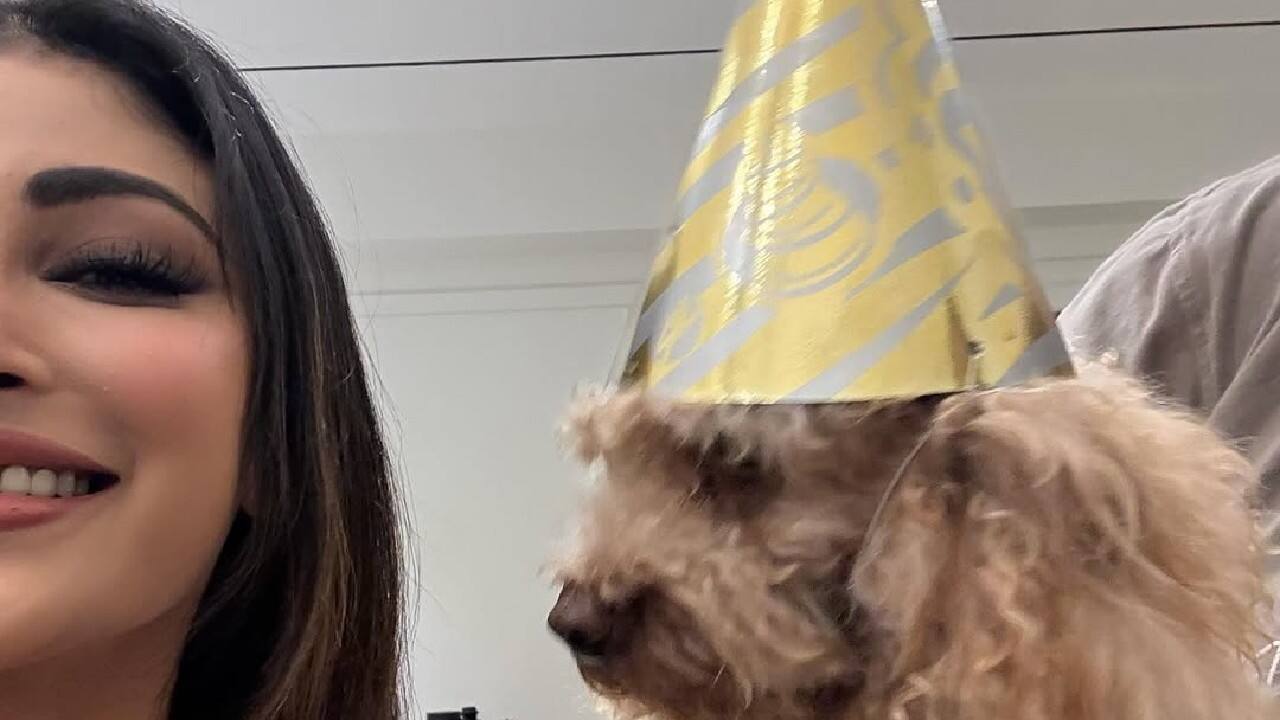 NGO programs  Mouni often participates in animal welfare initiatives which demonstrate her genuine love for pets.