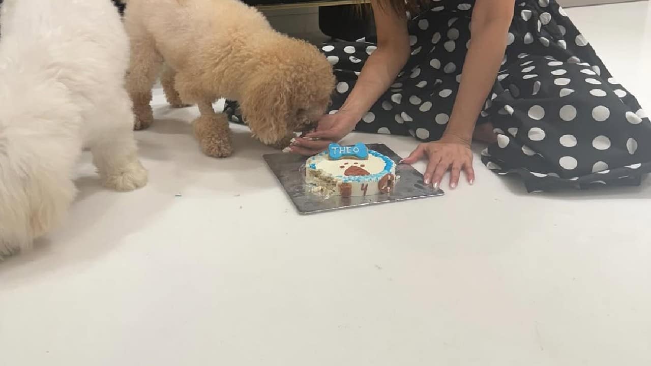 Her inner peace  She often expresses her affection for her pets, calling them her &quot;happy place&quot;.