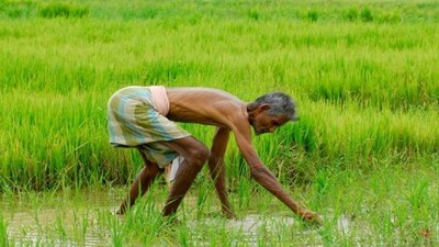 Officials claimed that several residents of Manohar Thana received PM-Kisan payments against land records shown in Gujarat, Uttar Pradesh, Uttarakhand, Andhra Pradesh and Himachal Pradesh