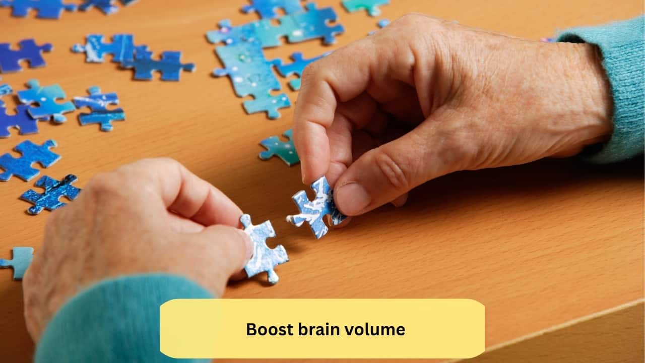 Boost brain volume High cardiorespiratory fitness preserves superior parietal brain region volume and supports inductive reasoning and verbal memory maintenance(Image: Canva)