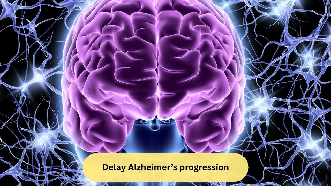 Delay Alzheimer’s progression Physical activity restores hippocampal gene expression responsible for neuron survival, delaying Alzheimer’s pathology in model organisms(Image: Canva)   