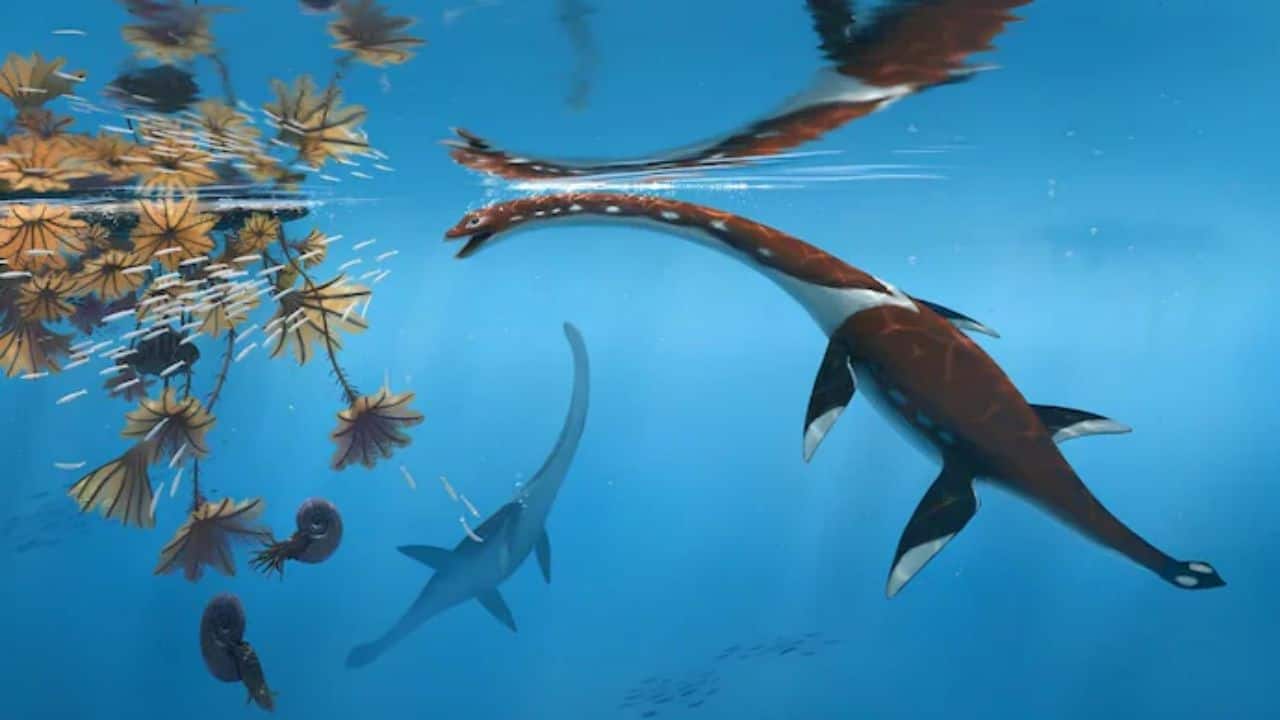 Ancient sea monster found: Marine reptile with long neck discovered frozen in Germany's Jurassic fossil beds