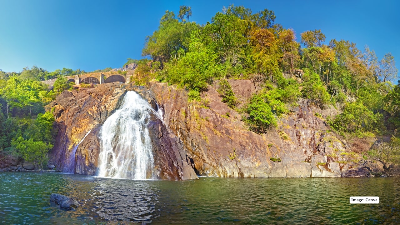 7. Bhagwan Mahaveer Sanctuary, Goa A surprising hornbill destination, this Western Ghats forest shelters the Malabar Pied and Malabar Grey Hornbills. Trekking trails through Mollem forest often echo with their loud wingbeats and vocalizations during the fruiting season. (Image credit: Canva)