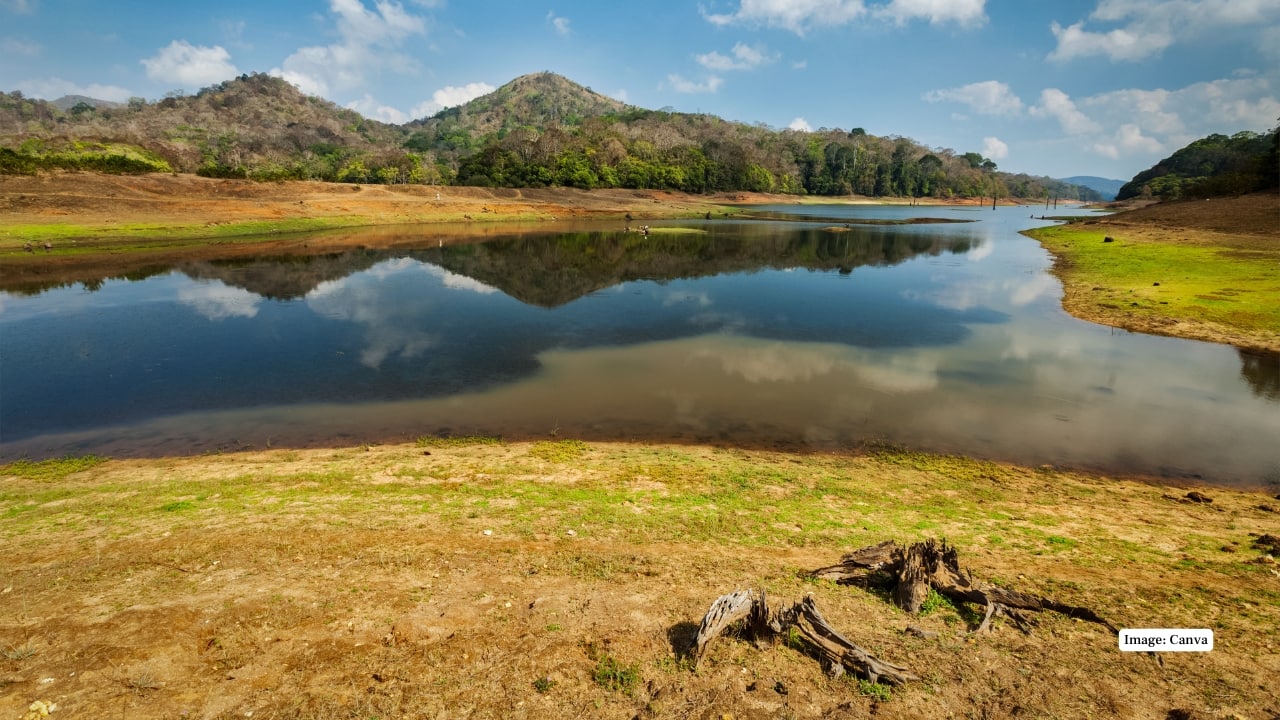 8. Periyar Tiger Reserve, Kerala Located in Thekkady, Periyar offers opportunities to see the Great Hornbill soaring above the canopy. Boat rides on the lake and guided forest walks help spot hornbills near nesting trees along forest fringes. (Image credit: Canva)