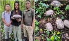 Naga tribal youths step up to save Asian Giant Tortoise in Nagaland