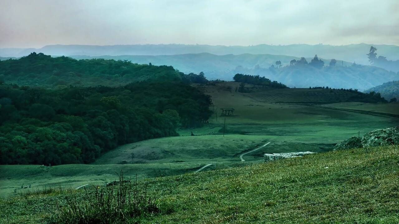 Meghalaya’s USTM faces Rs 150 crore fine for illegal forest land use
