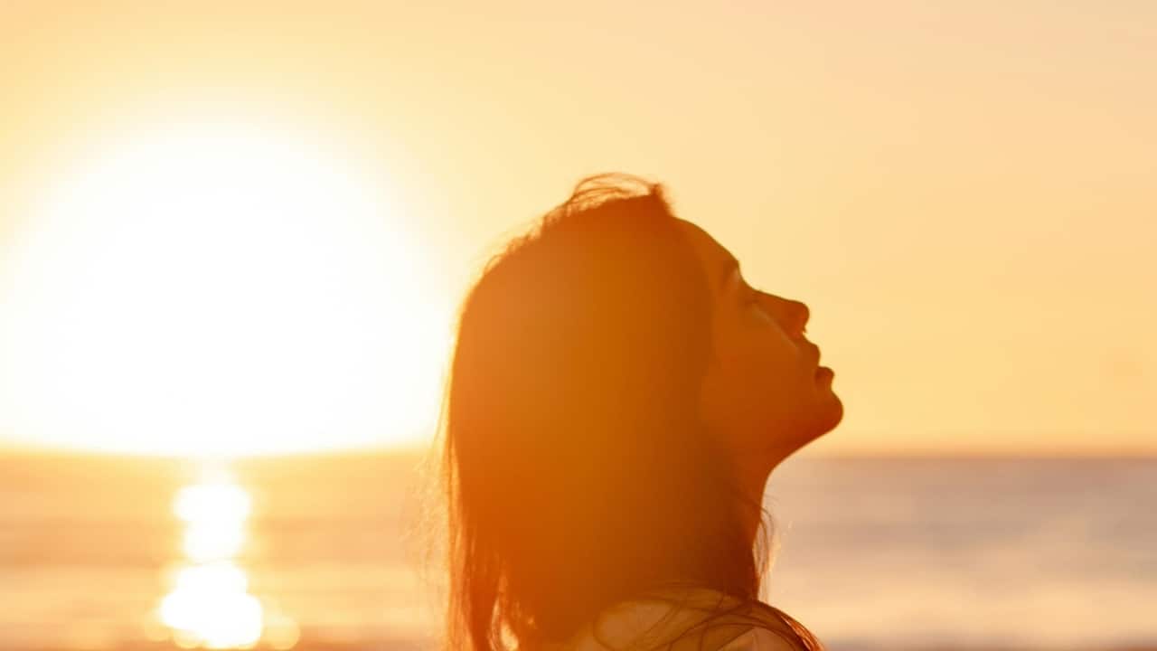 Get 15 to 20 minutes of sunlight Vitamin D, which is essential for lowering liver fat and enhancing insulin sensitivity, is naturally increased by morning sunlight. Without sunscreen, just 15 to 20 minutes of exposure per day can boost immunity, metabolism, and mood. Additionally, it aids in body clock regulation for improved digestion and sleep. (Image: Pexels)