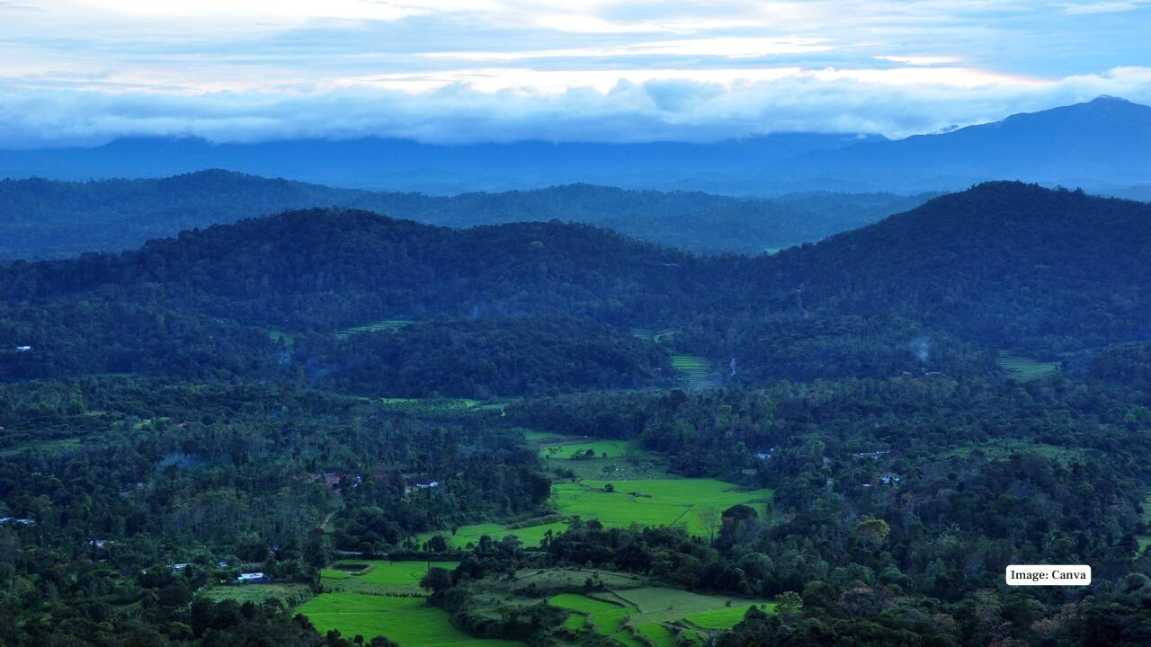 5. Coorg, Karnataka Coorg is monsoon magic at its finest in August. Thick coffee plantations draped in mist, cascading waterfalls like Abbey Falls, and winding forest paths make it a favorite for moody, atmospheric photography. (Image: Canva)