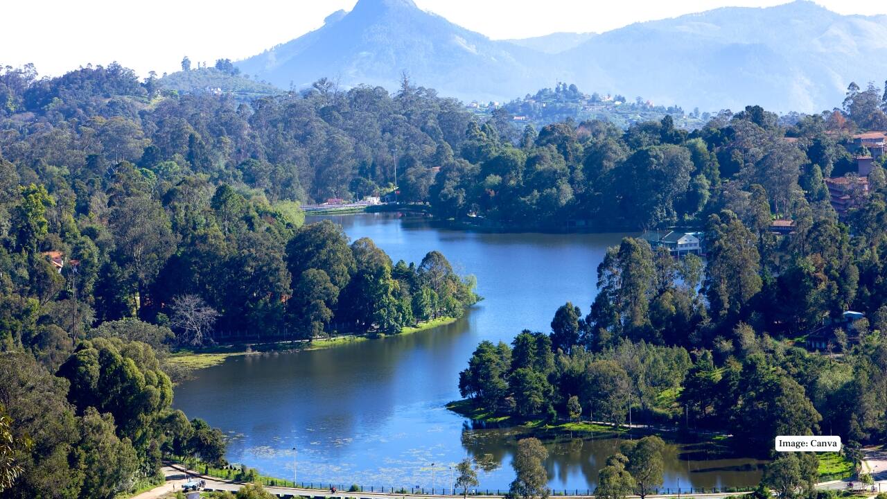 8. Kodaikanal, Tamil Nadu This “Princess of Hill Stations” becomes especially photogenic in August. Cloud-kissed valleys, blooming wildflowers, and serene lakes like Berijam and Kodai Lake create dreamlike visuals ideal for travel photography. (Image: Canva)