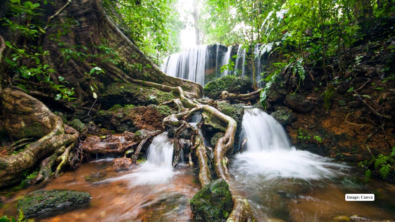 9. Agumbe, Karnataka Often called the “Cherrapunji of the South,” Agumbe is a monsoon haven for wildlife and rainforest photography. Dense jungles, magical light rays through canopies, and rare sightings like king cobras make it a true photo treasure. (Image: Canva)