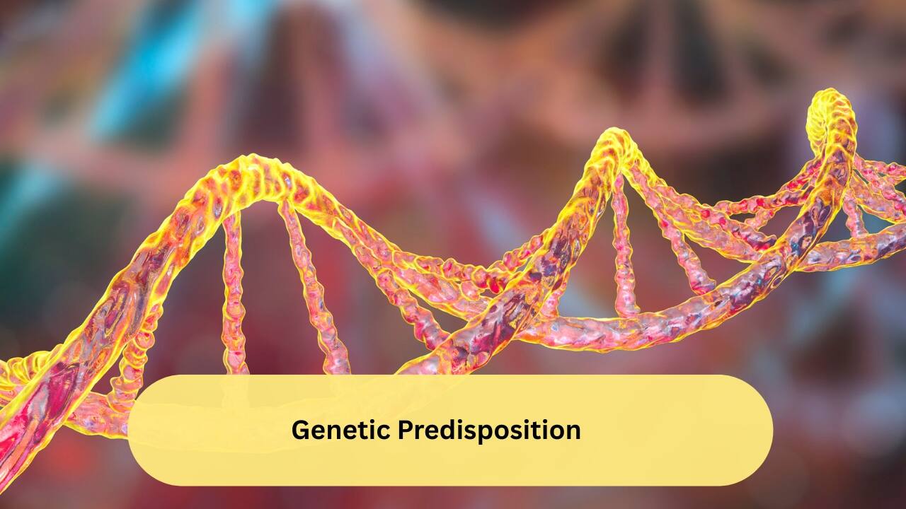 Genetic Predisposition Certain genes called BRCA1 and BRCA2 (BRCA means BReast CArcinoma) are said to point towards a high risk of breast cancer. BRCA1 has a higher risk than BRCA2. Those who have a family history of breast cancer can get checked for these genes to know the risk.(Image: Canva)