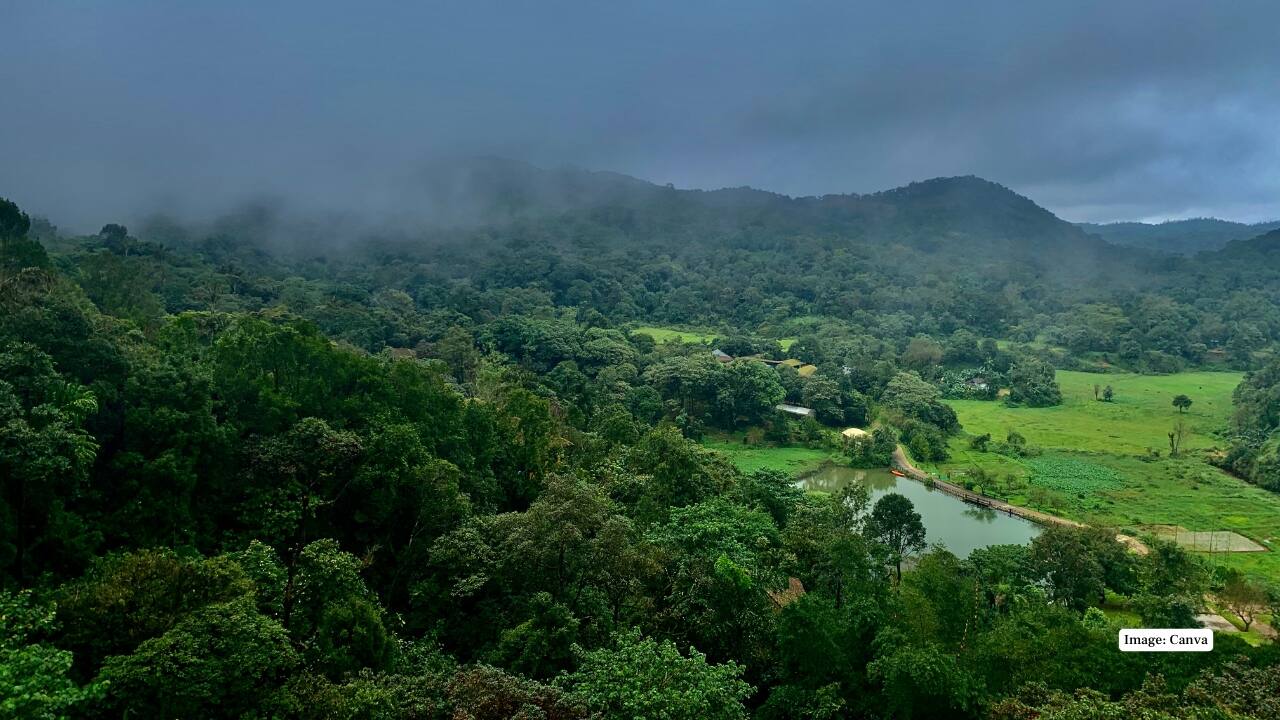 4. Coorg, Karnataka Often referred to as the “Scotland of India,” Coorg takes on a new level of charm during the rains. Coffee estates shimmer with fresh droplets, the scent of wet earth fills the air, and mist clings to the hills like a soft veil. Enjoy peaceful walks, visit Abbey Falls in full flow, and savor spicy Kodava cuisine while the monsoon works its magic all around you. (Image: Canva)