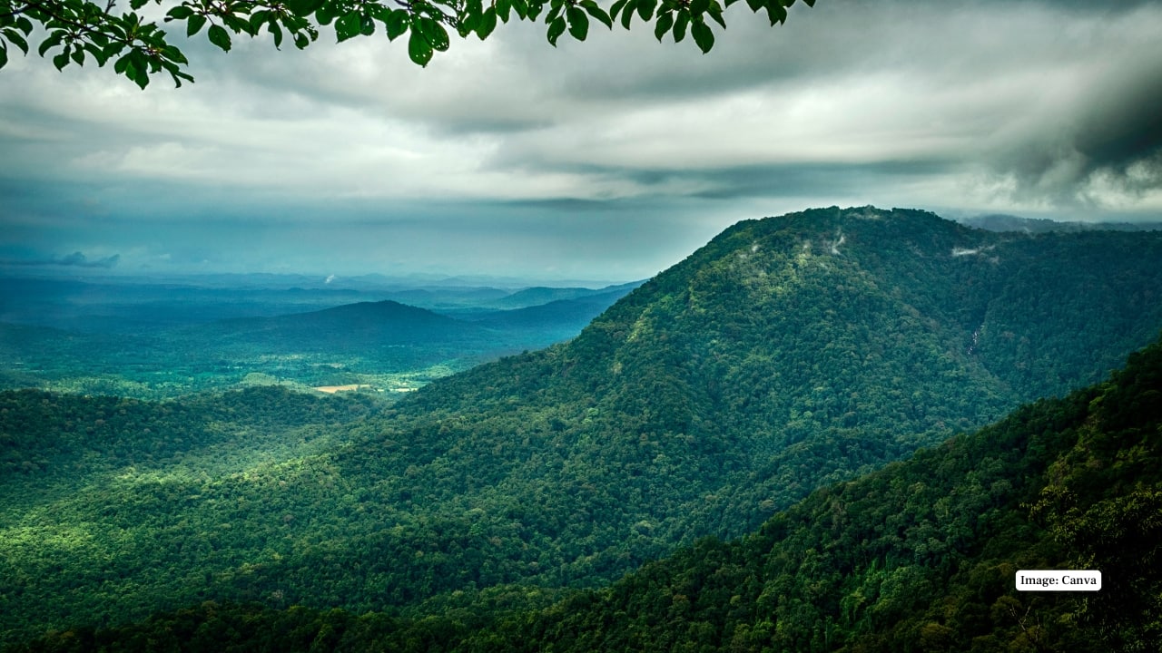 6. Agumbe, Karnataka Nicknamed the “Cherrapunji of the South,” Agumbe is a rainforest wonderland during monsoon. It's one of the best places to experience raw, untouched beauty—home to king cobras, hidden waterfalls, and breathtaking sunsets (when the rain pauses!). The dense forest trails are perfect for eco-tourism and offer a wild, almost primeval monsoon experience. (Image: Canva)