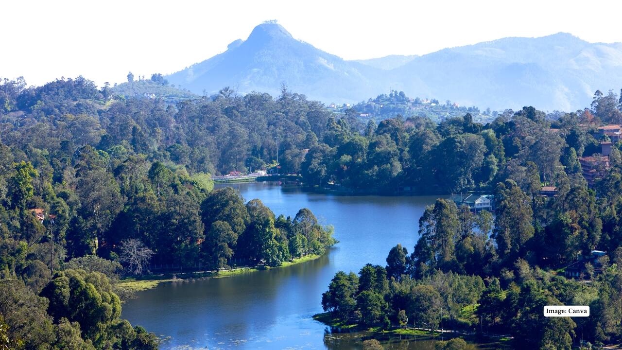 9. Kodaikanal, Tamil Nadu The “Princess of Hill Stations,” Kodaikanal becomes irresistibly poetic during monsoon. Cloud-kissed pine forests, shimmering lakes, and blooming wildflowers line the quiet trails. Whether you’re rowing in Kodai Lake or hiking to Dolphin’s Nose, every corner offers a rain-washed frame that feels like a painting. (Image: Canva)