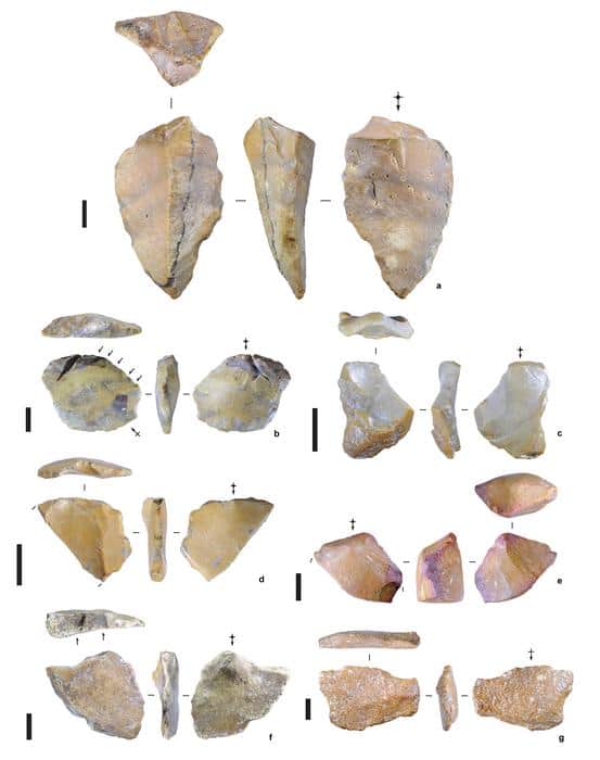 Archaeologists find oldest evidence of humans on ‘Hobbit’s’ island neighbor – who they were remains a mystery Archaeologists find oldest evidence of humans on ‘Hobbit’s’ island neighbor – who they were remains a mystery