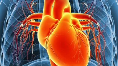 10 facts about aortic stenosis you should know