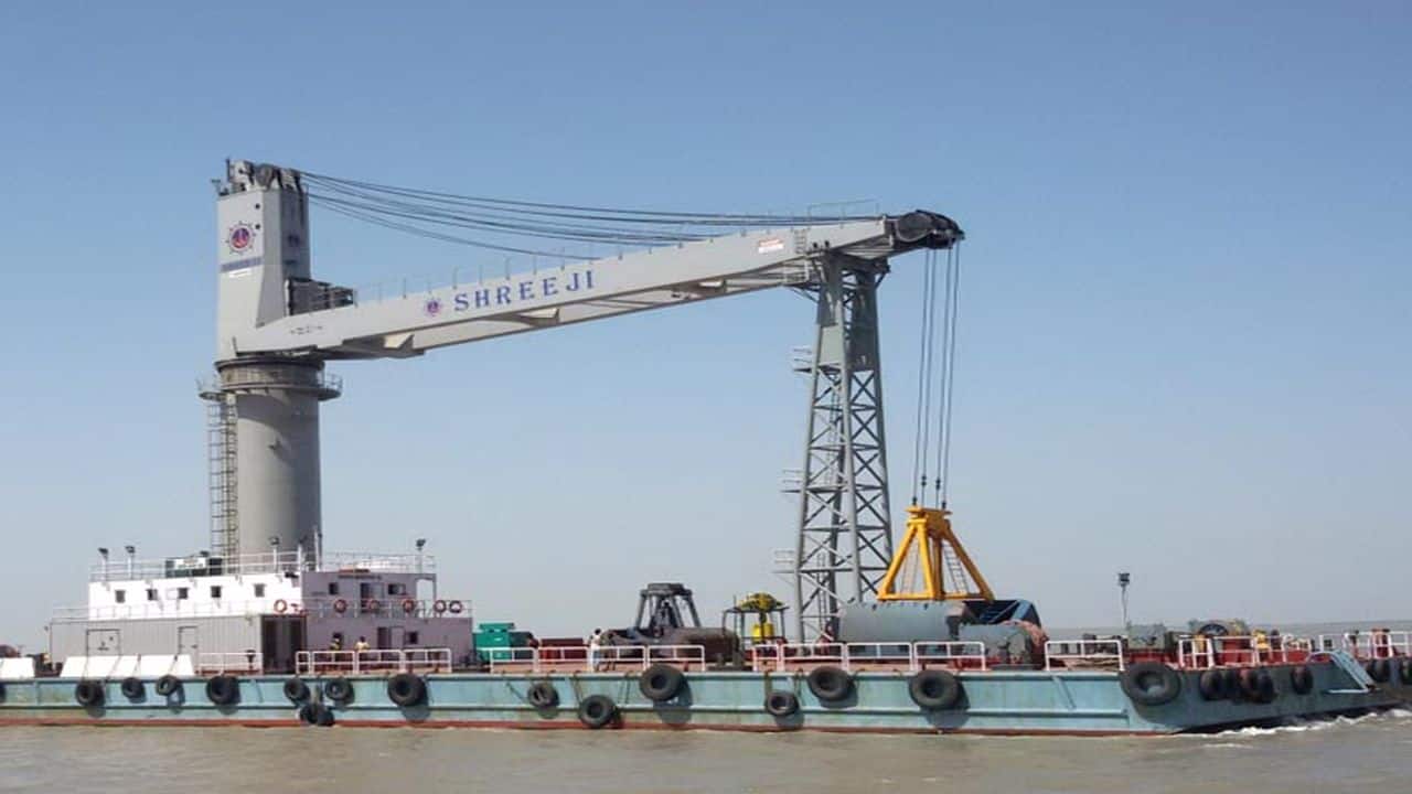 Shreeji Shipping's IPO: Key Investor Insights