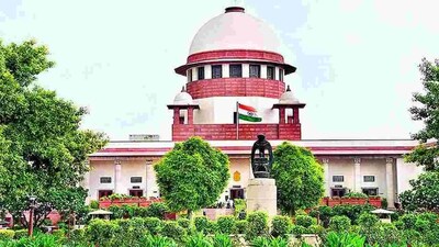 the top court took cognisance of the matter and said it would hear the case on merit.