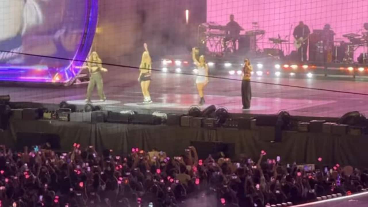 Priyanka attends a lively concert with a sea of cheering fans. Music, lights, and memories fill the evening. 