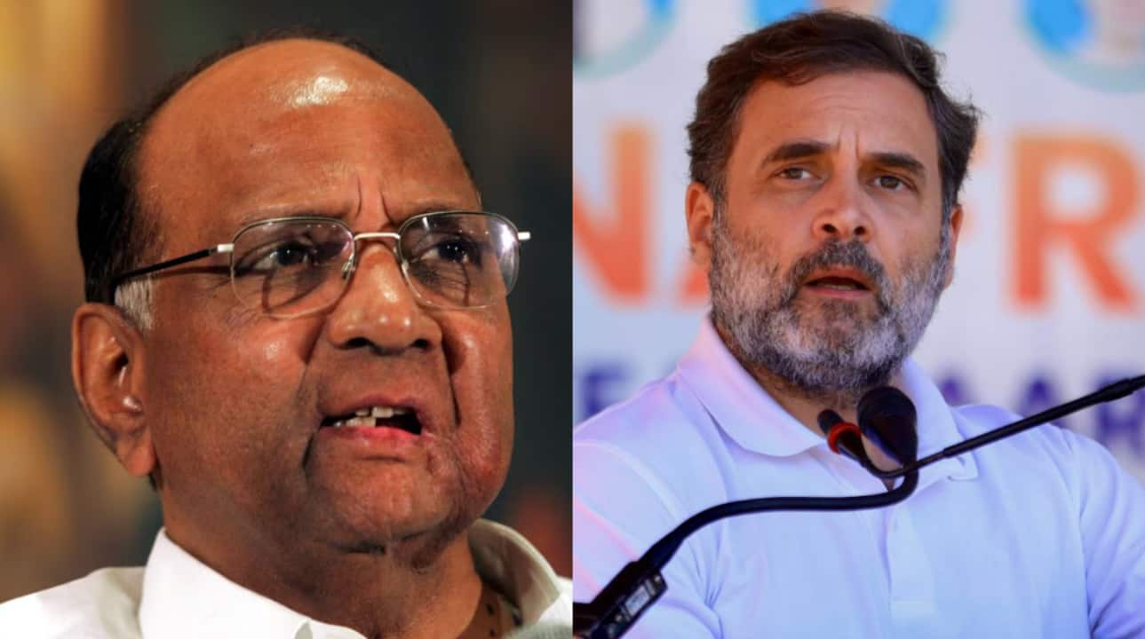 'Should clear doubts if no truth in allegations': Sharad Pawar backs Rahul, demands probe by EC on 'vote theft'