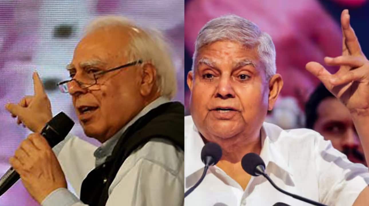 Sibal questions Dhankhar's whereabouts since resignation: 'Heard of Laapataa Ladies not of laapataa VP'