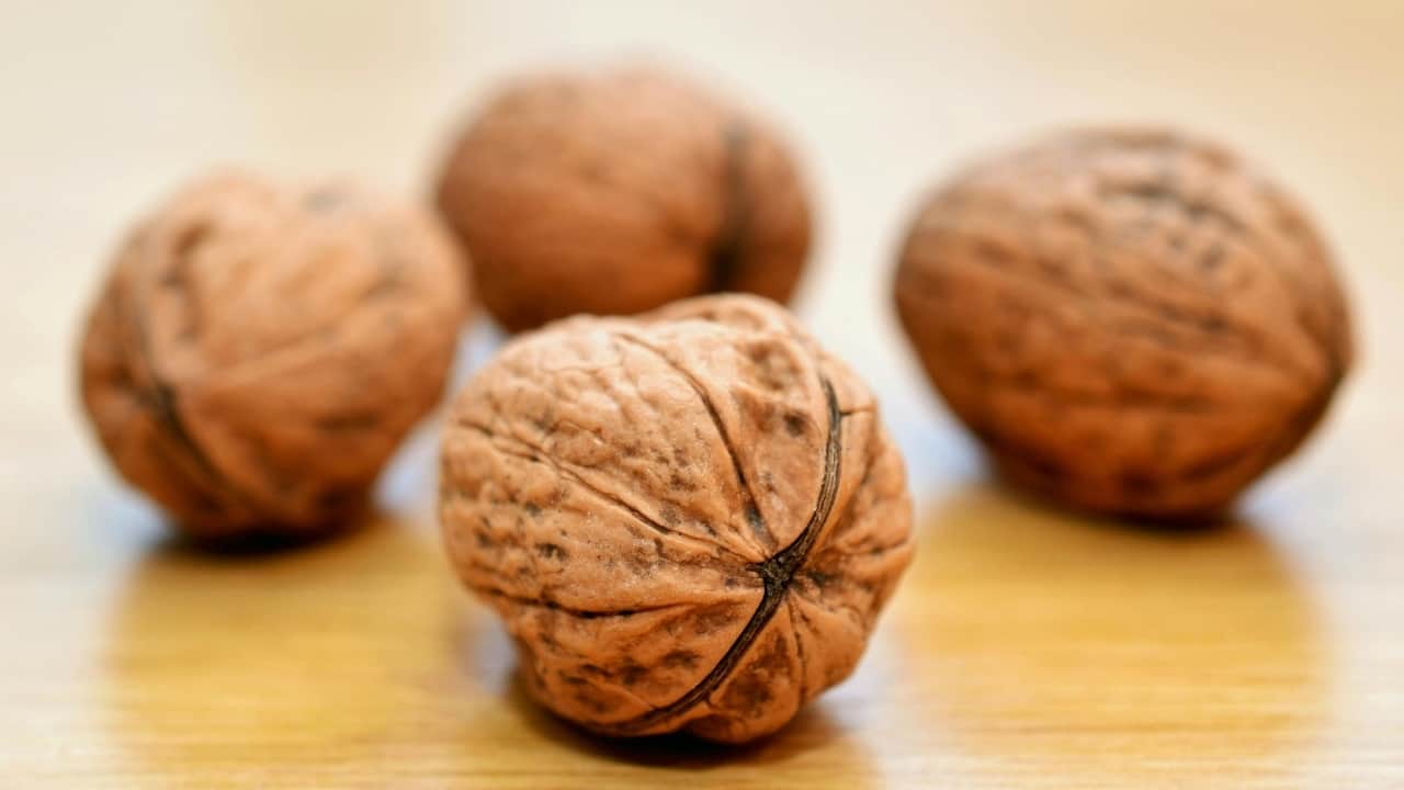 Unlock Your Potential: 7 Amazing Benefits of Eating Walnuts on an Empty Stomach (South African Edition)