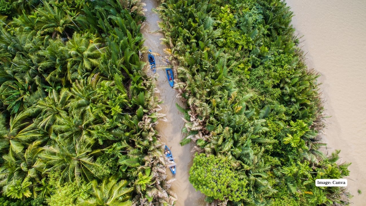 1. Ben Tre, Vietnam Known as the “Coconut Kingdom,” Ben Tre is a peaceful riverside retreat in the Mekong Delta. The Ham Luong River winds through thick coconut groves, inviting visitors to explore quiet canals by boat. Stop by local workshops making coconut products or enjoy fresh tropical fruits at vibrant riverside markets, offering a true taste of Vietnam’s countryside life. (Image: Canva)
