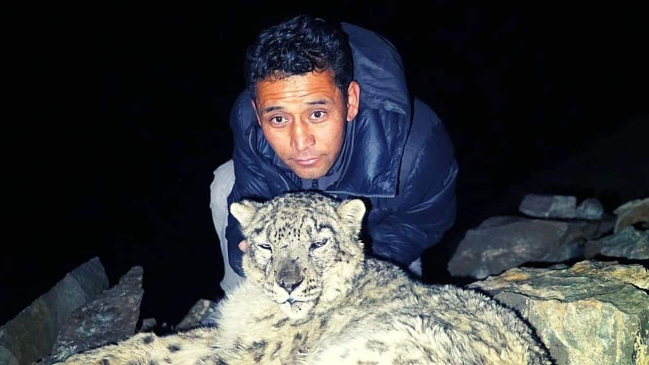 Meet Khenrab Phuntsog: The Ladakhi guardian who saved 47 snow leopards using only a blanket and net