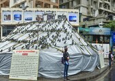 Pigeon feeding row: Jain monk warns of stir from Aug 13, says will take up arms if needed