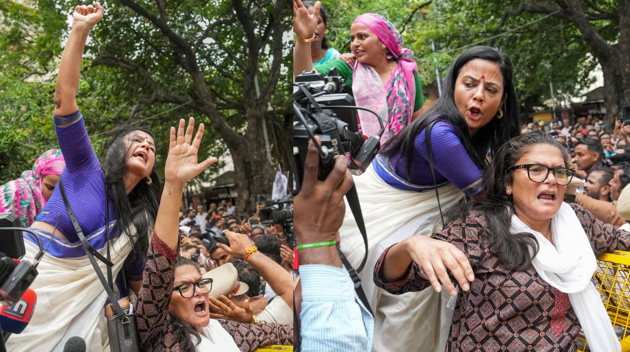 As the MPs were stopped by the police from moving forward, several of them sat on the road and raised slogans in protest of the Special Intensive Revision (SIR) of Bihar electoral rolls. (Image: PTI).