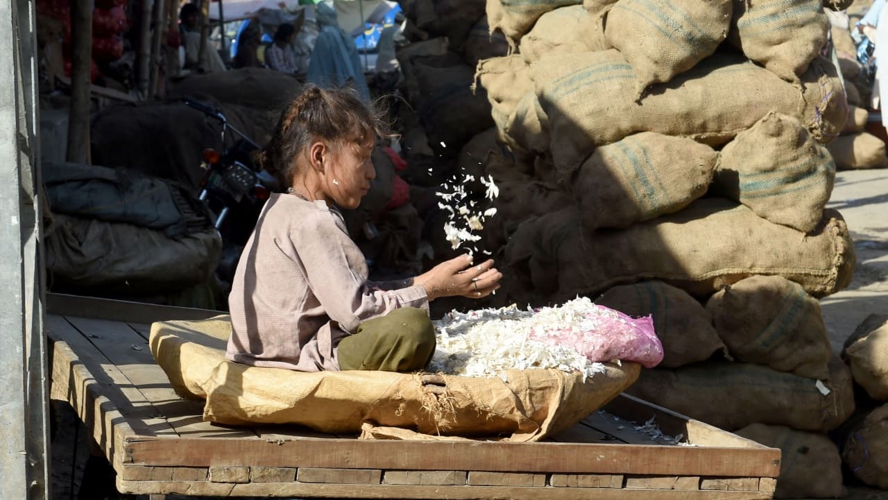 Forced conversions, child marriages, bonded labour: How Hindu and Christian children face harrowing discrimination in Pakistan