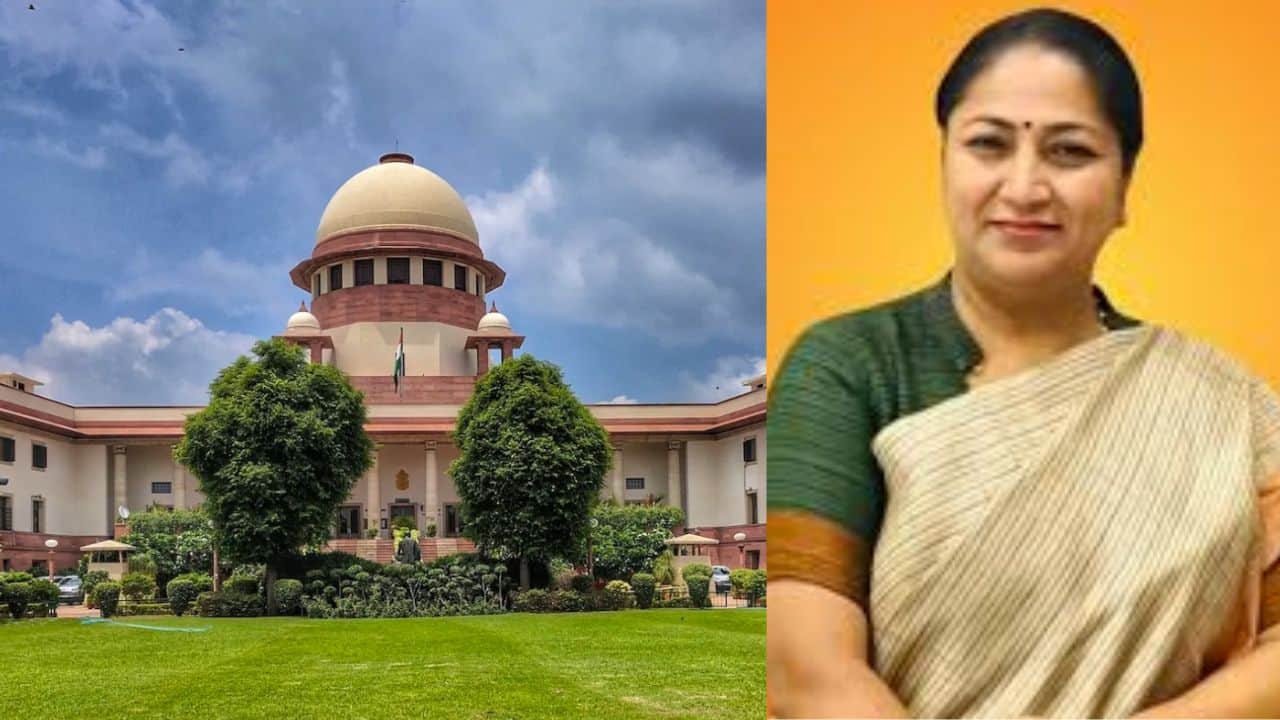 Supreme Court stray dog order: Is Delhi facing an impossible task? Logistical hurdles explained