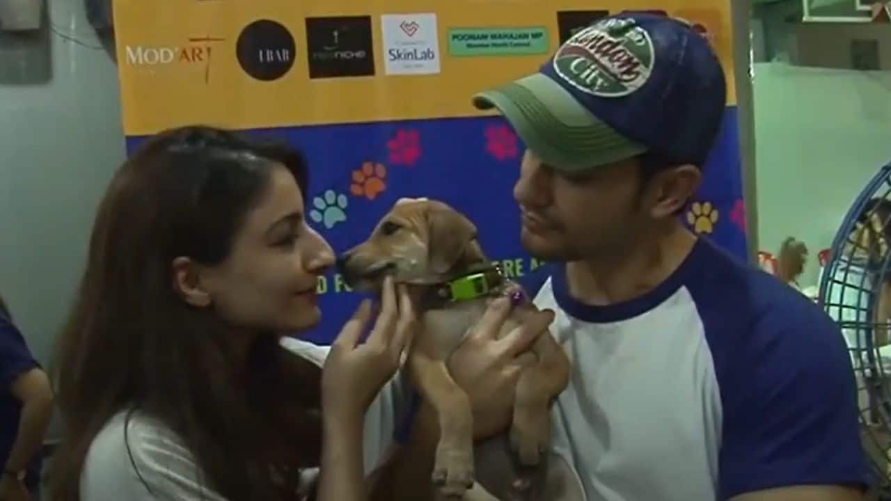 From Siddharth Malhotra to Rupali Ganguly: Celebrities who raised stray dogs
