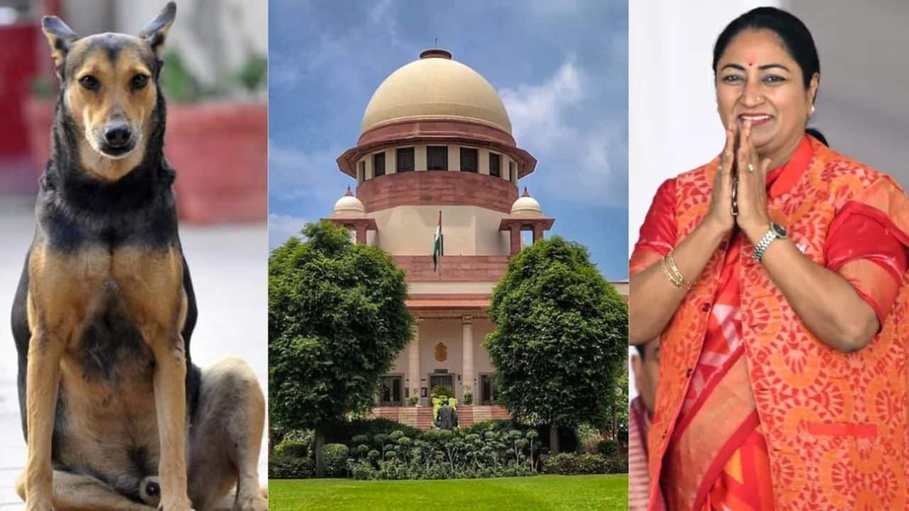 SC order on stray dogs: Delhi CM Rekha Gupta vows 'well-structured' roll-out as activists warn of chaos