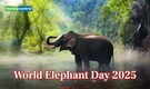 World Elephant Day 2025: Theme, history, threats and India’s legendary elephants