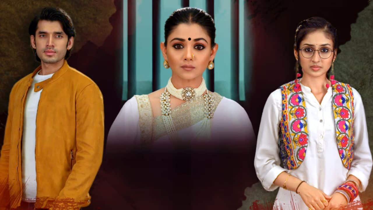 Parineetii The daily soap narrates a tale about a love triangle where two best friends without any bad intention unknowingly get married to the same guy.