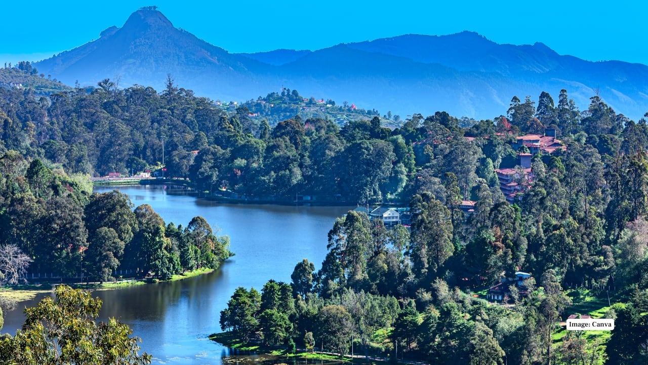 4. Kodaikanal, Tamil Nadu Famous for its star-shaped lake, pine forests, and misty cliffs, Kodaikanal is a haven for trekkers, nature photographers, and couples seeking tranquility. (Image: Canva)