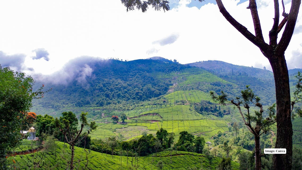 6. Coonoor, Tamil Nadu Less crowded than Ooty, Coonoor offers panoramic viewpoints, tea estates, and a quieter atmosphere. Ideal for travelers looking to escape the crowds and relax in nature. (Image: Canva)