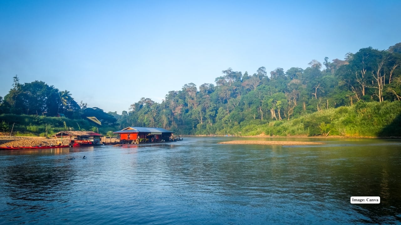 Top 10 Reasons to Visit Taman Negara – Malaysia’s Oldest Rainforest