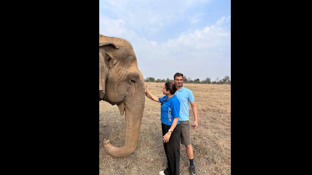 Final Days at Panna: She died peacefully close to Khairaiya Nala after a fight with a leg injury and poor eyesight. (Image: @AnupamSharmaIFS/X)