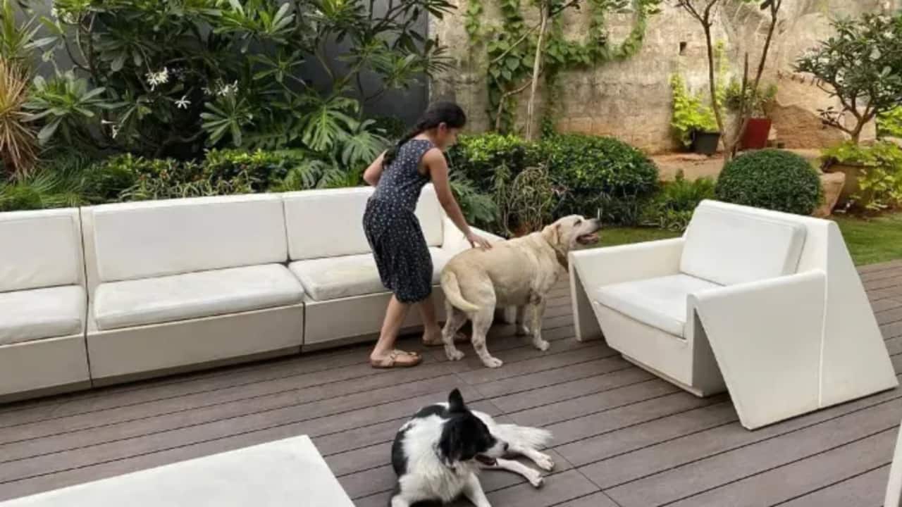 People also know Mahesh for his taste in high-end items and investments. By 2025, his net worth is anticipated to be between Rs 350 crore and Rs 400 crore. His collection of expensive stuff in Hyderabad indicates how much he loves to appear grand. Mahesh Babu's Hyderabad Property (2025). The mansion in Jubilee Hills is valued Rs 28 crore. People also know Mahesh for his taste in high-end items and investments. By 2025, his net worth is anticipated to be between Rs 350 crore and Rs 400 crore. His collection of expensive stuff in Hyderabad indicates how much he loves to appear grand. Mahesh Babu's Hyderabad Property (2025). The mansion in Jubilee Hills is valued Rs 28 crore.
