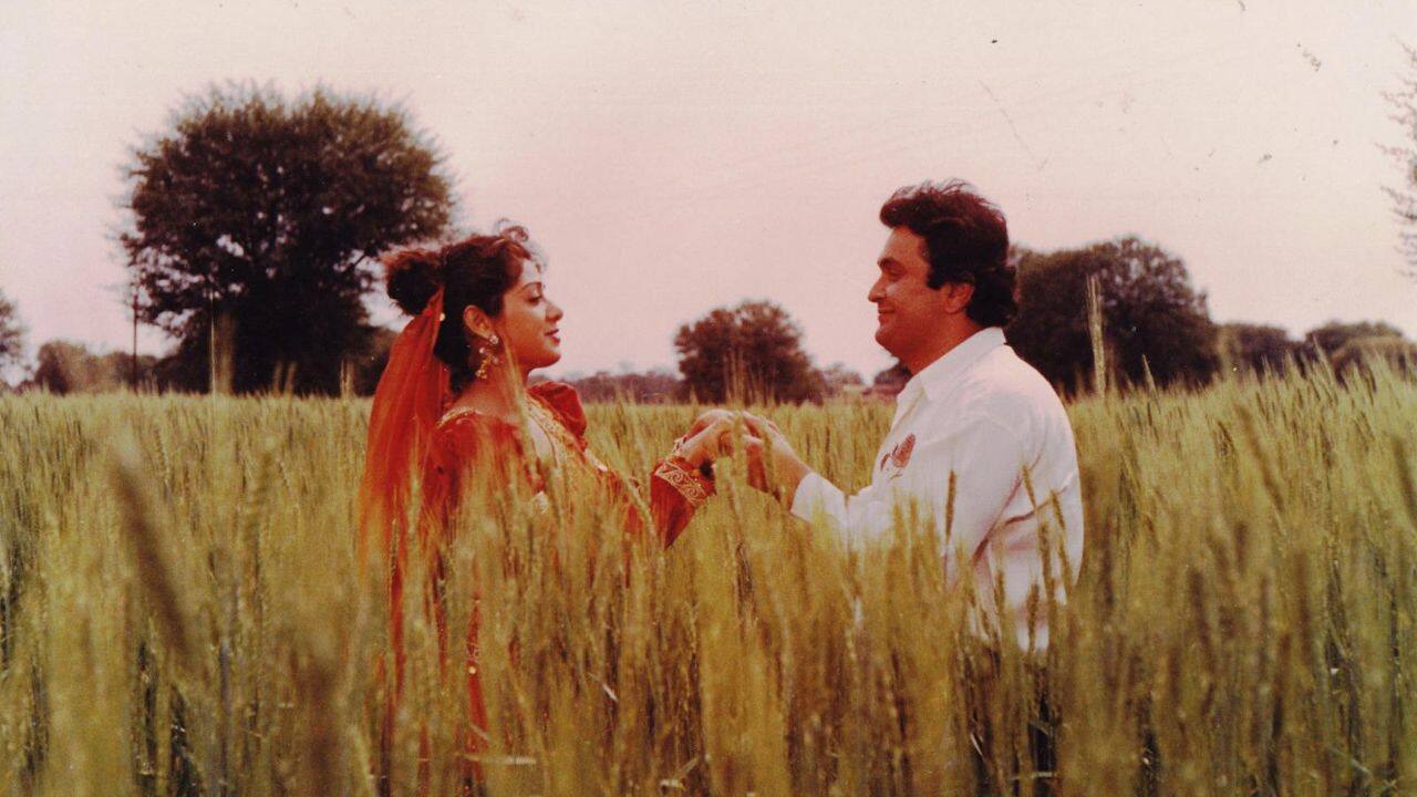 Banjaran (1991)  Playing a gypsy girl in a reincarnation-themed love story, Sridevi brought both charm and emotional depth to a role often overlooked in her filmography.