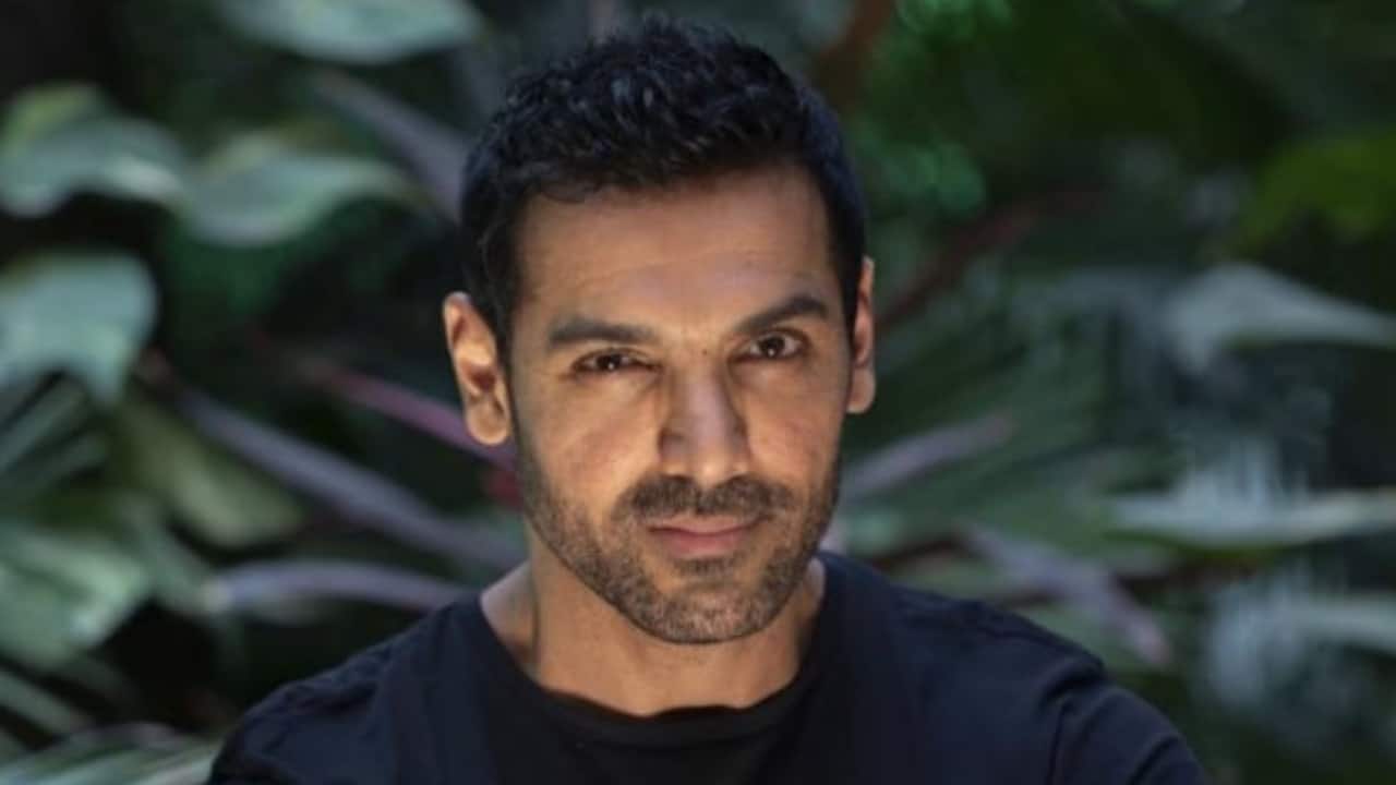 Celebrity reactions to Delhi’s stray dog relocation order Celebrity reactions to Delhi’s stray dog relocation order