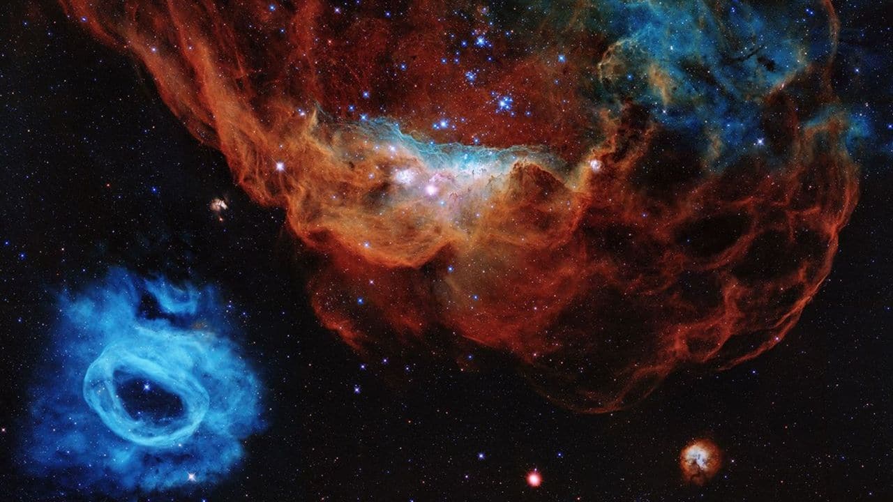 NASA's Hubble shares image of ‘cosmic reef’ revealing galaxies shaped like an alien ocean